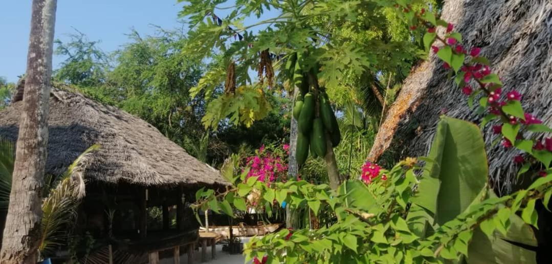 Furaha Lodge Jambiani  Exterior foto