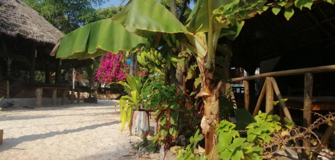 Furaha Lodge Jambiani  Zimmer foto